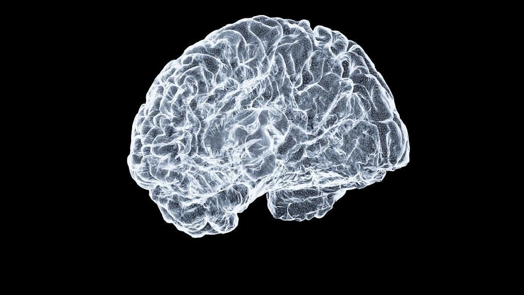 NVIDIA's Gated DeltaNet-2: Why Two 'Brain Knobs' Are Better Than One for AI Memory